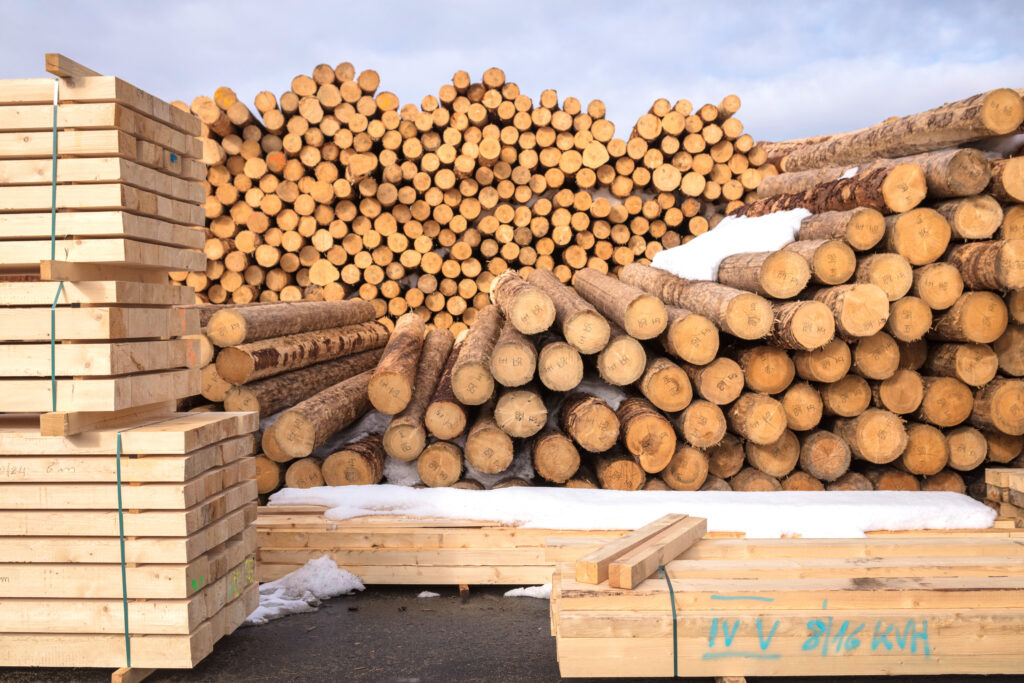 Holz und Holzprodukte