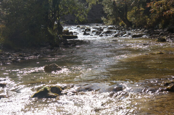 Fluss in den Ötschergräben