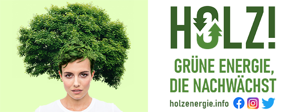 Banner / holzenergie.info