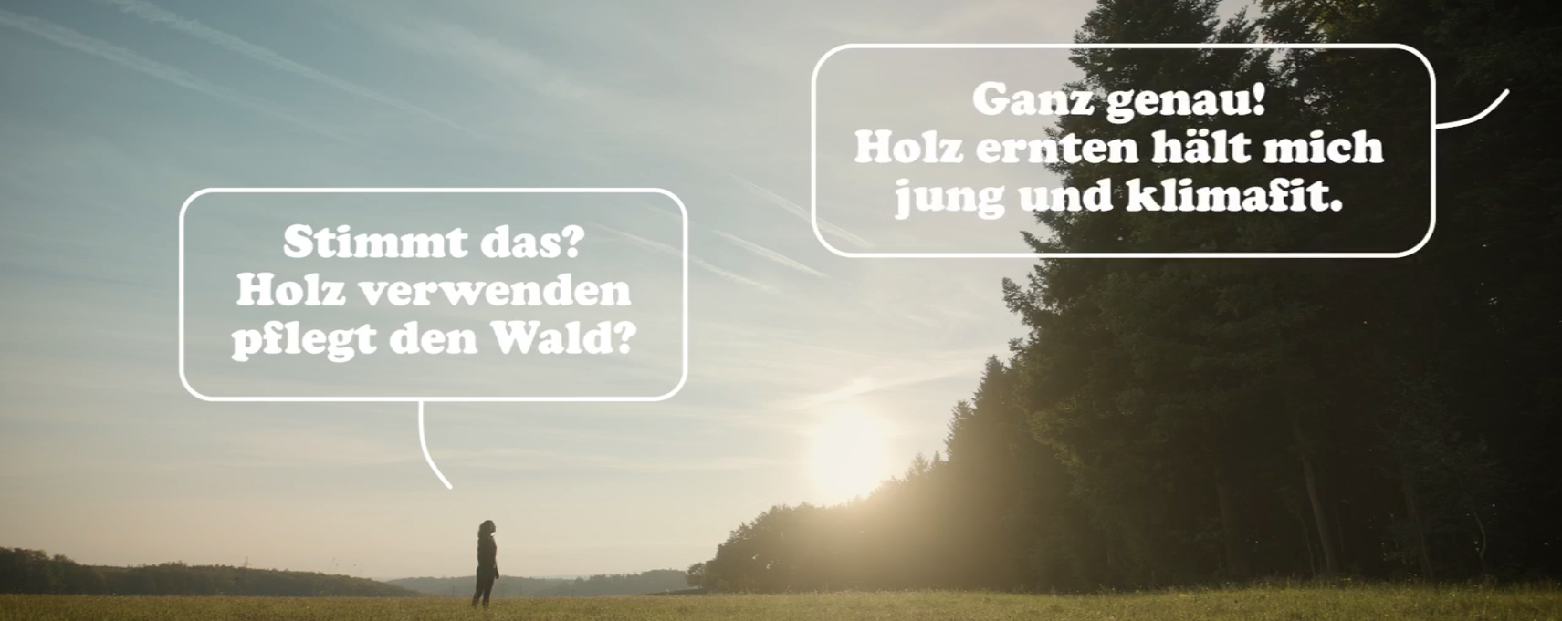 proHolz “hey Wald”